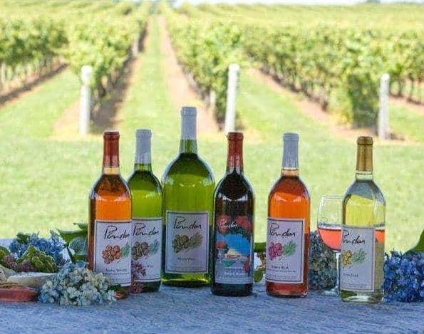 Scenic Vineyard Views