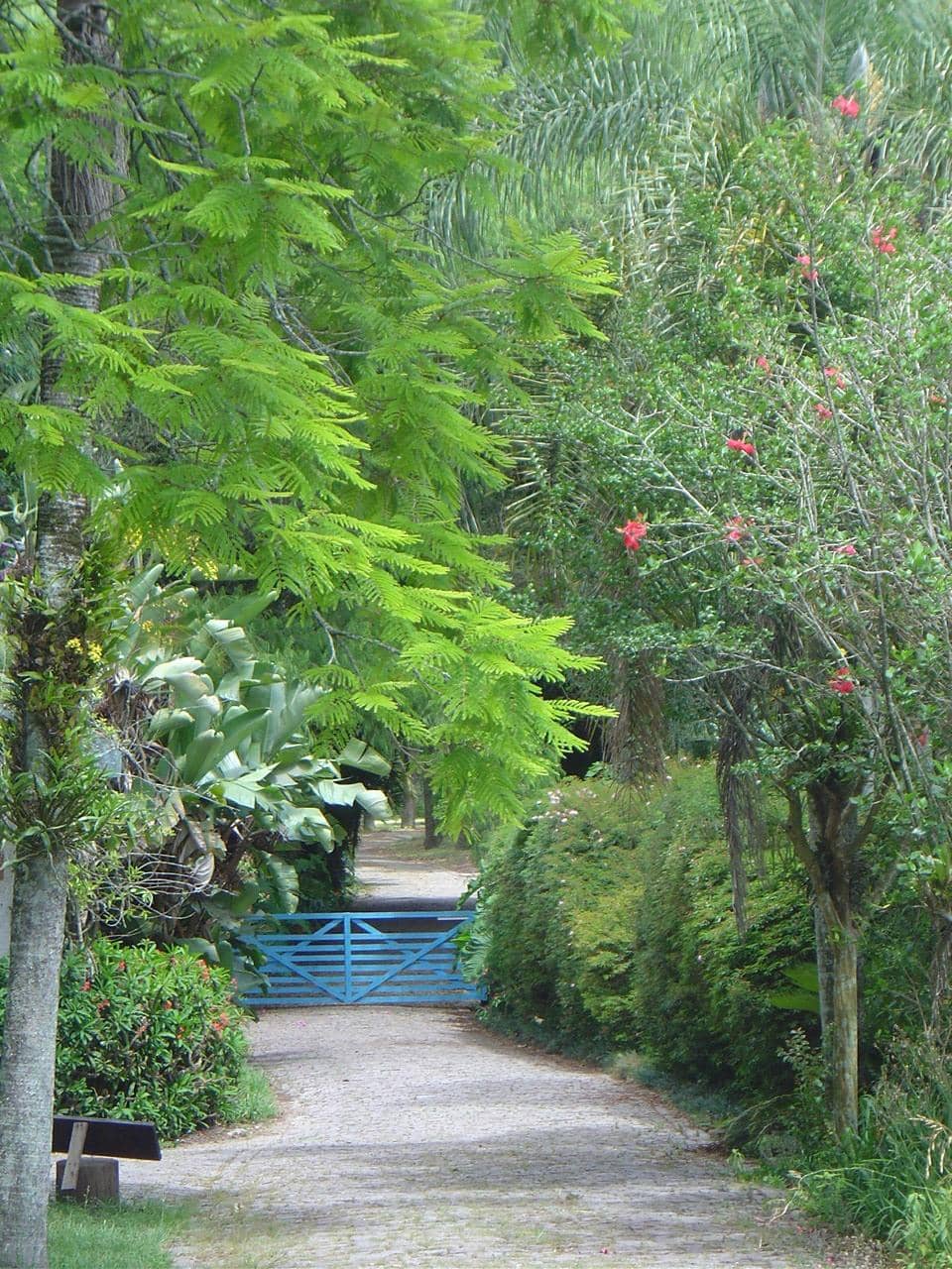 Charming Colonial Accommodations