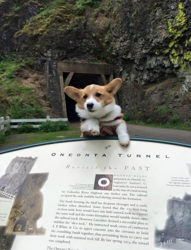 Cascading Waterfalls