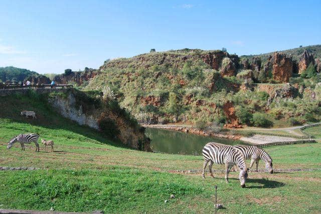 Scenic Cantabrian Views