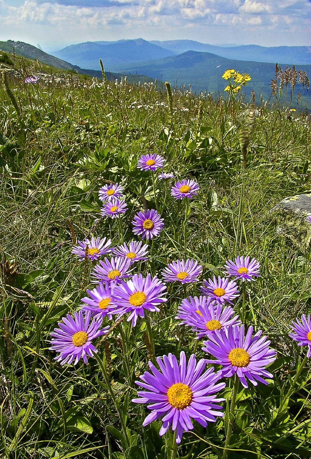 Zyuratkul Ridge Views