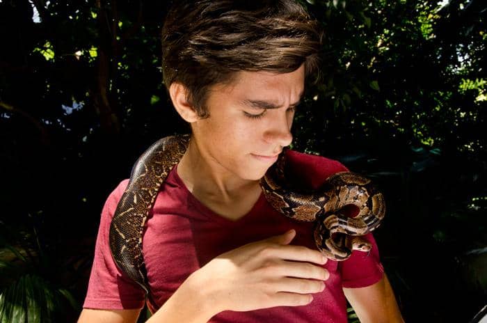 Crocodile Feeding Frenzy