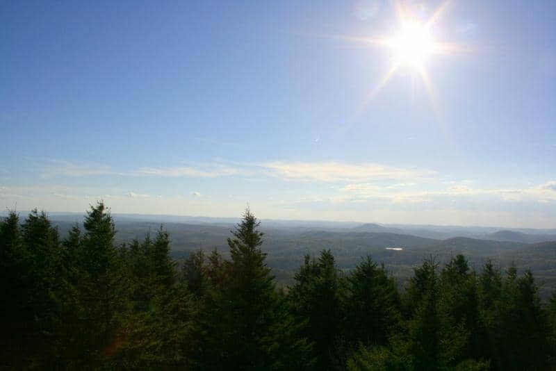 Whispering Spruce Trail