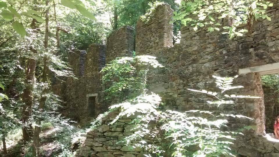 Sope Creek Trail