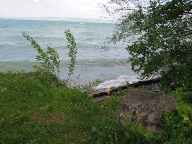 Restored Natural Coastline