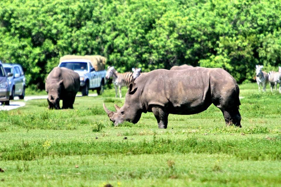 Water Park & Splash Pad