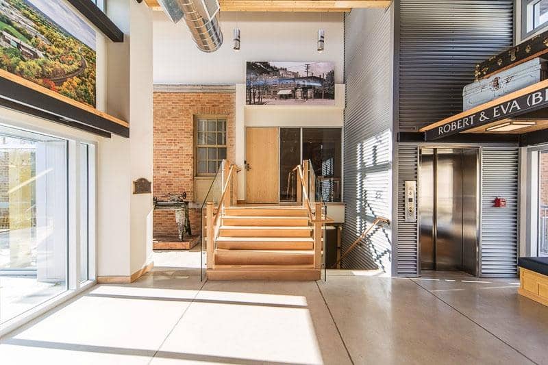 Fossils and Prehistoric Displays