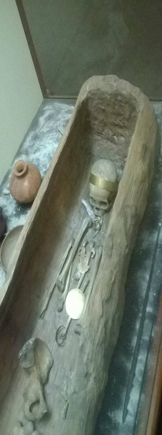 Magdalena River Basin Ecosystem