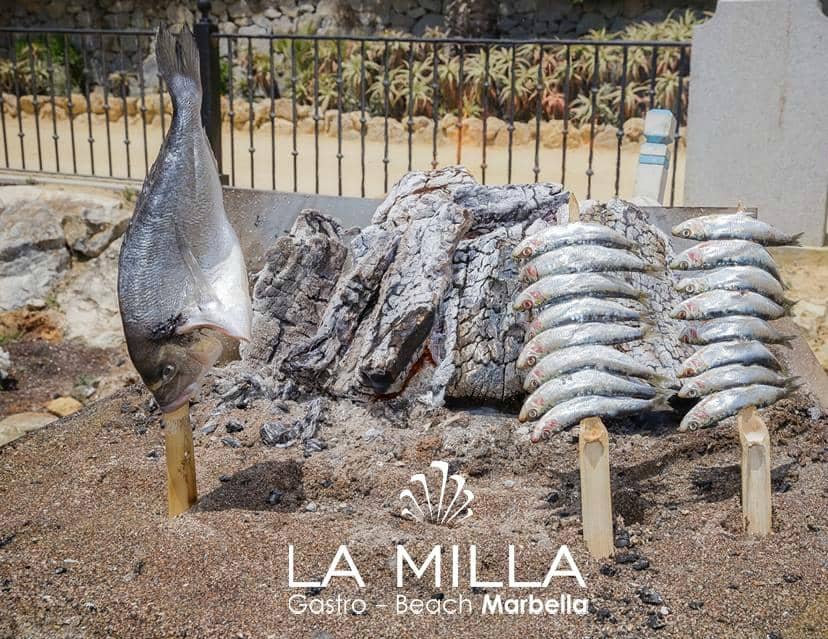 Vibrant Paella and Tapas