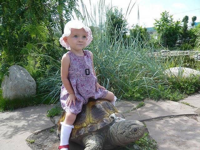 Themed Photo Spots