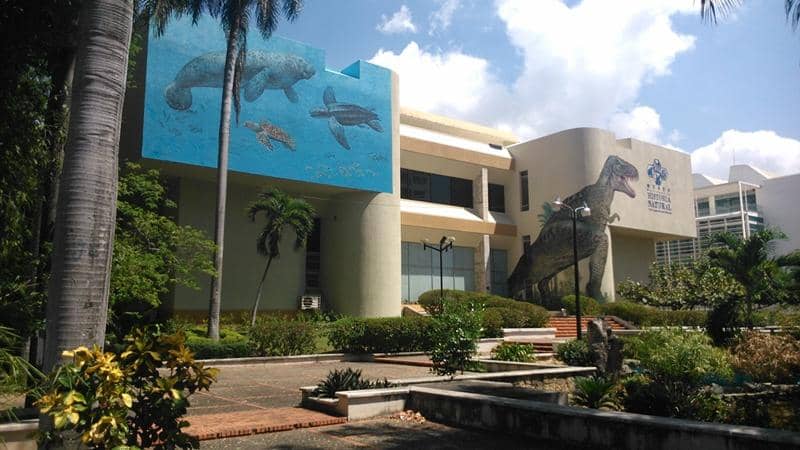 Dinosaur Exhibits