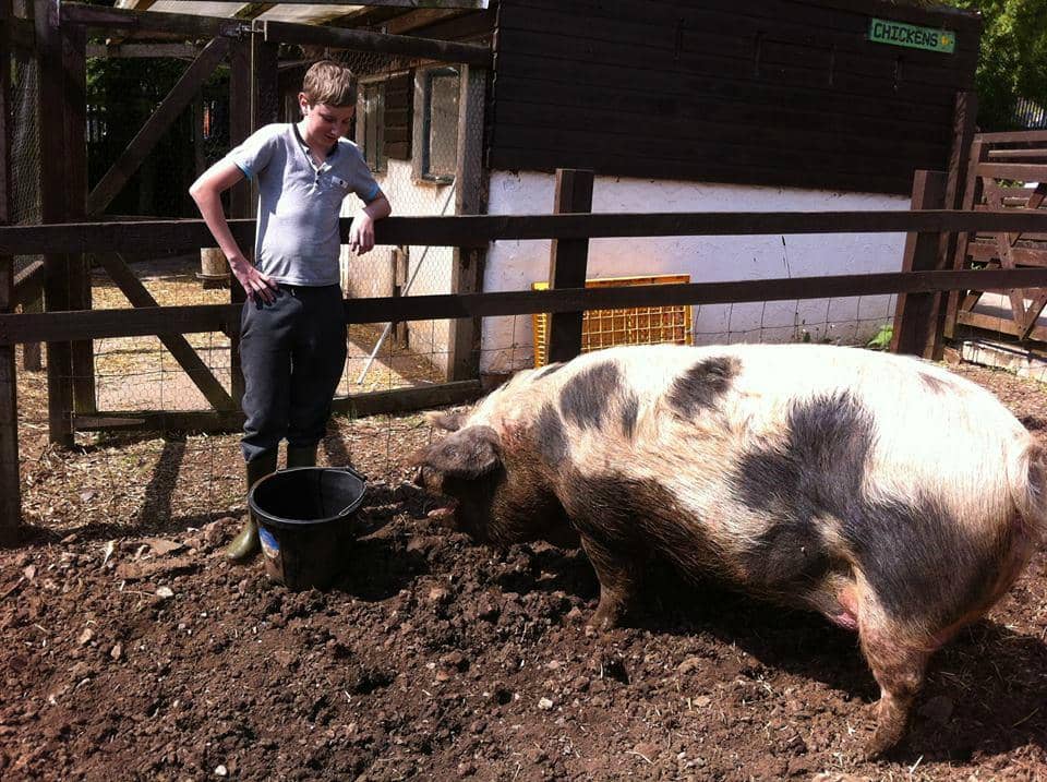 Community Gardens & Produce