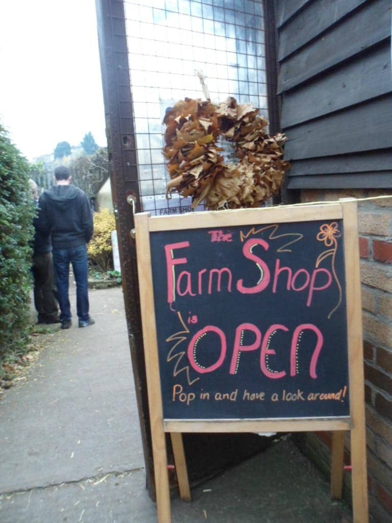 Friendly Farm Animals