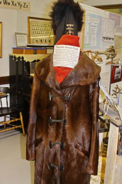 Knowledgeable Docents