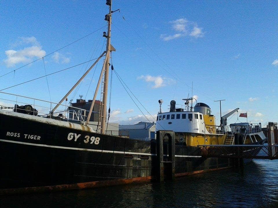 Immersive Museum Exhibits