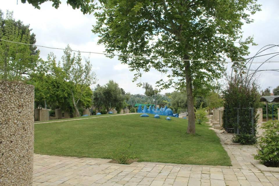 Expansive Skate Park