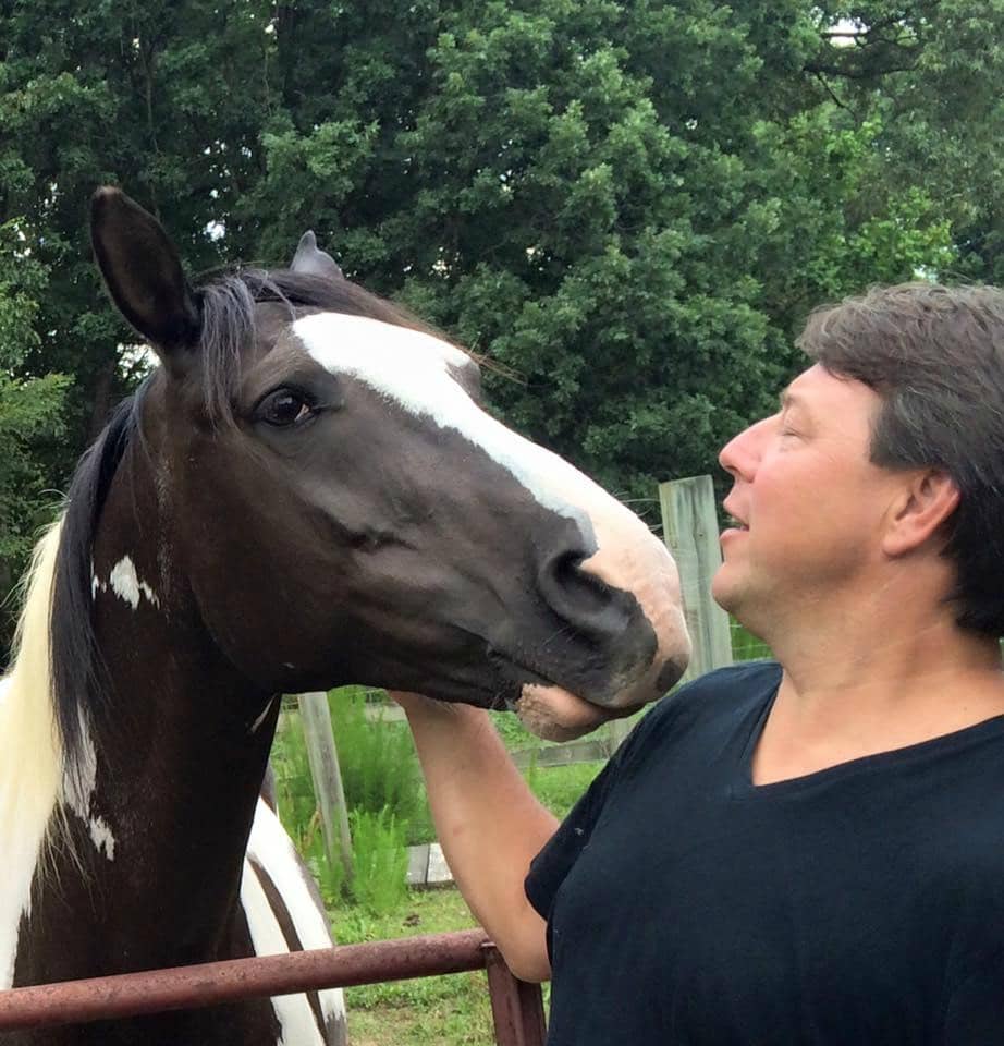 The Winery Horse