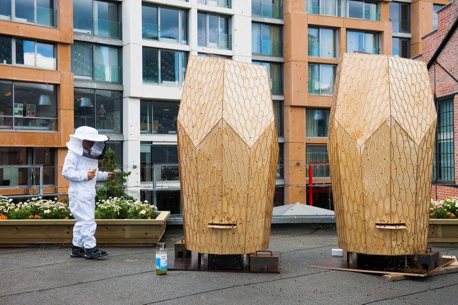 Norwegian Delicacies