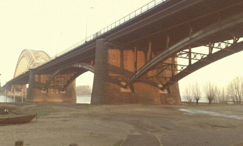 Vertical photo