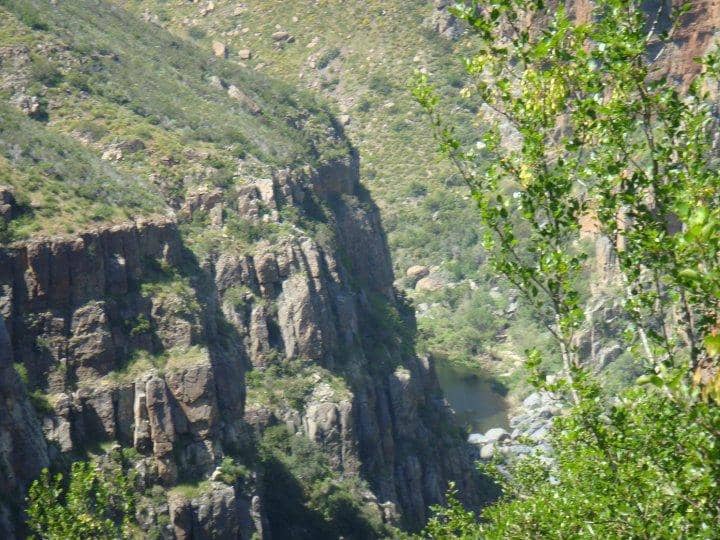 The Canyon Trail