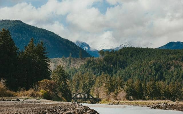 Shuck Your Own Oysters