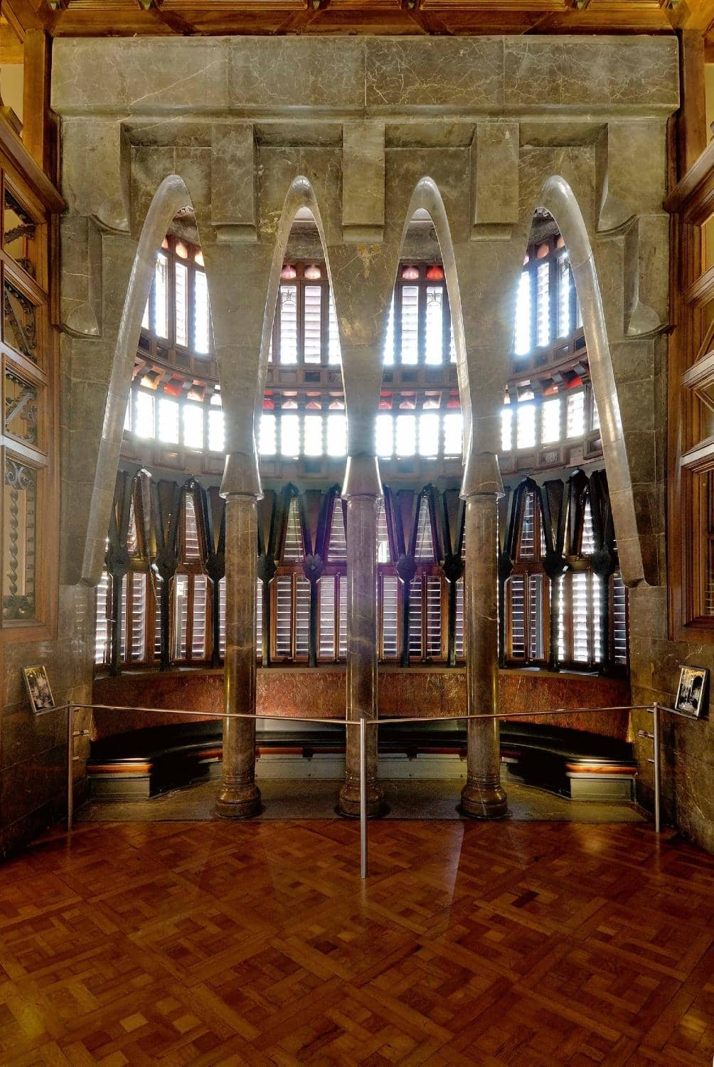 Vertical photo