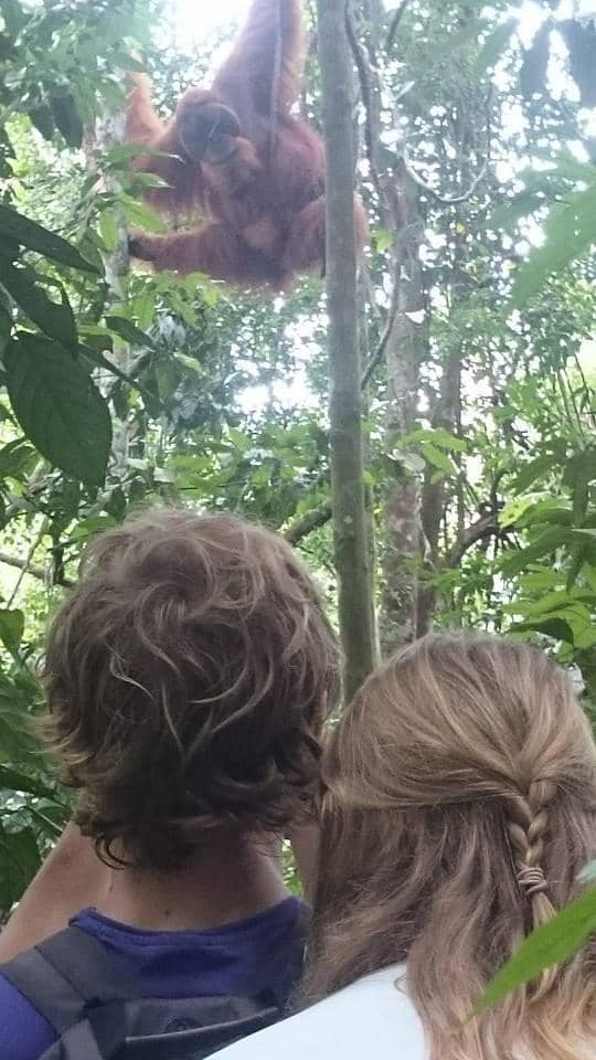 River Tubing/Rafting