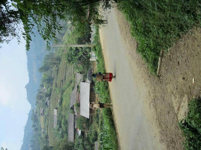 Vertical photo