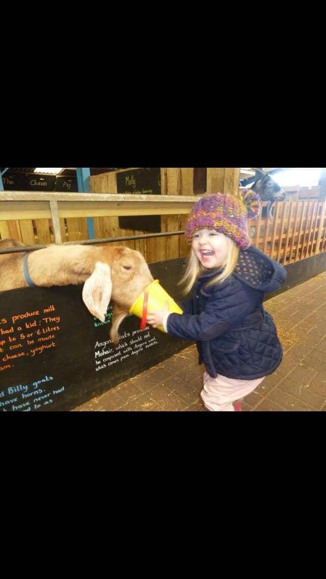 Play Barn Adventures