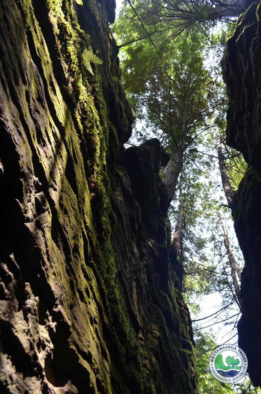 Vertical photo