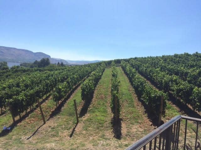Osoyoos Lake Views