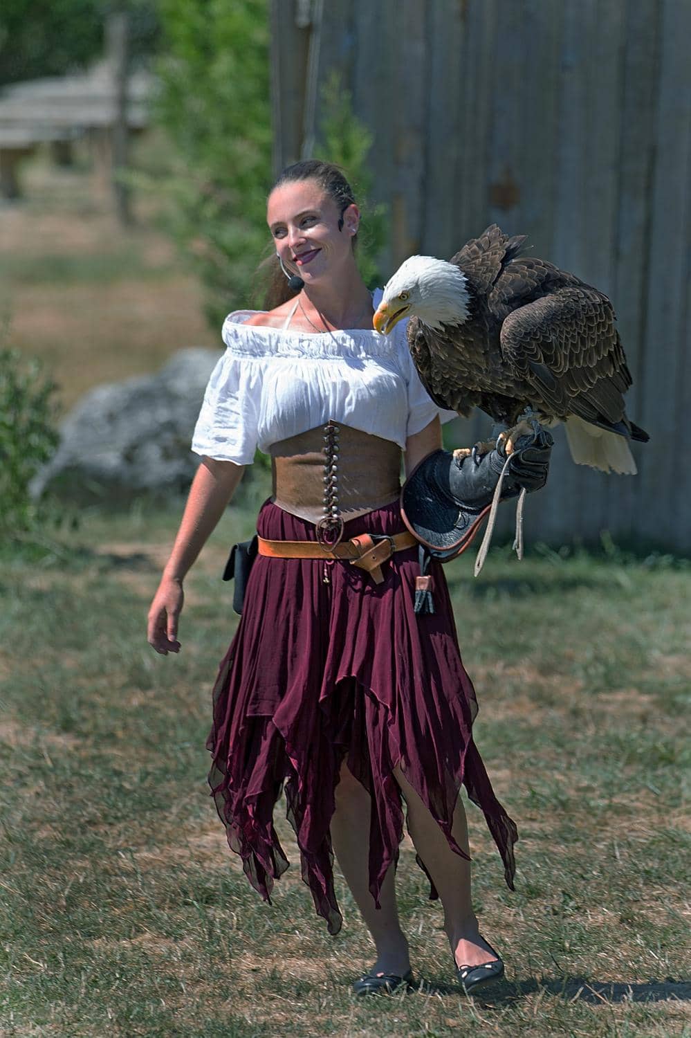 Diverse Bird Species
