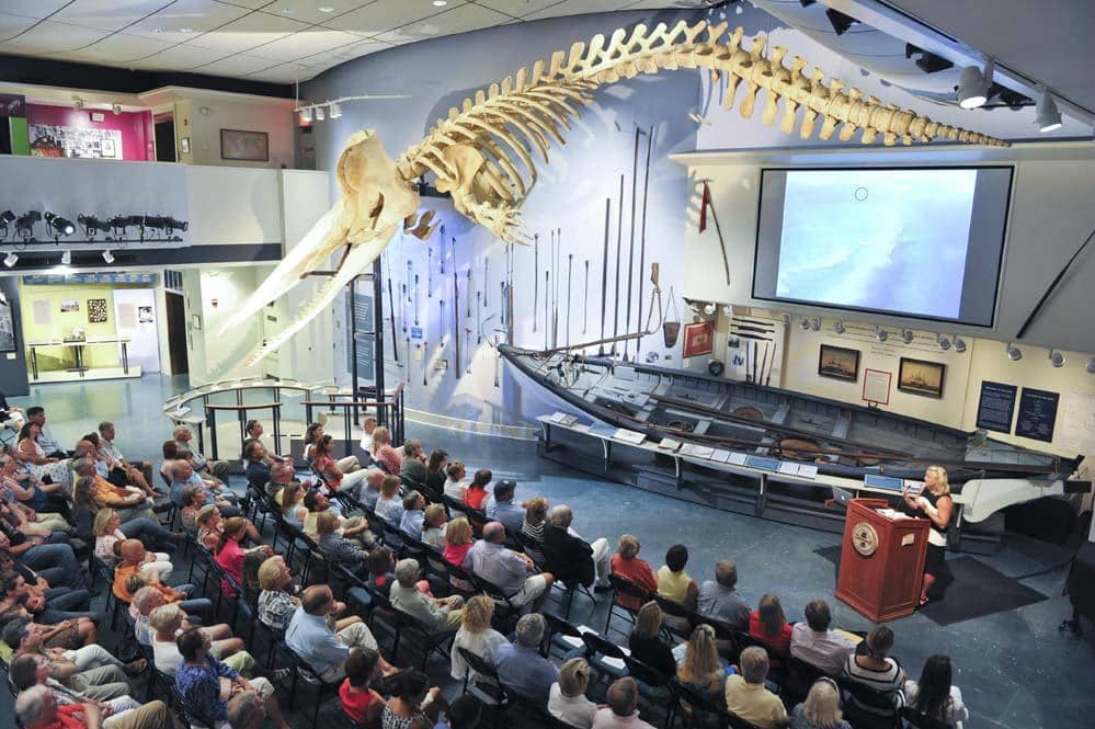 Giant Whale Skeleton