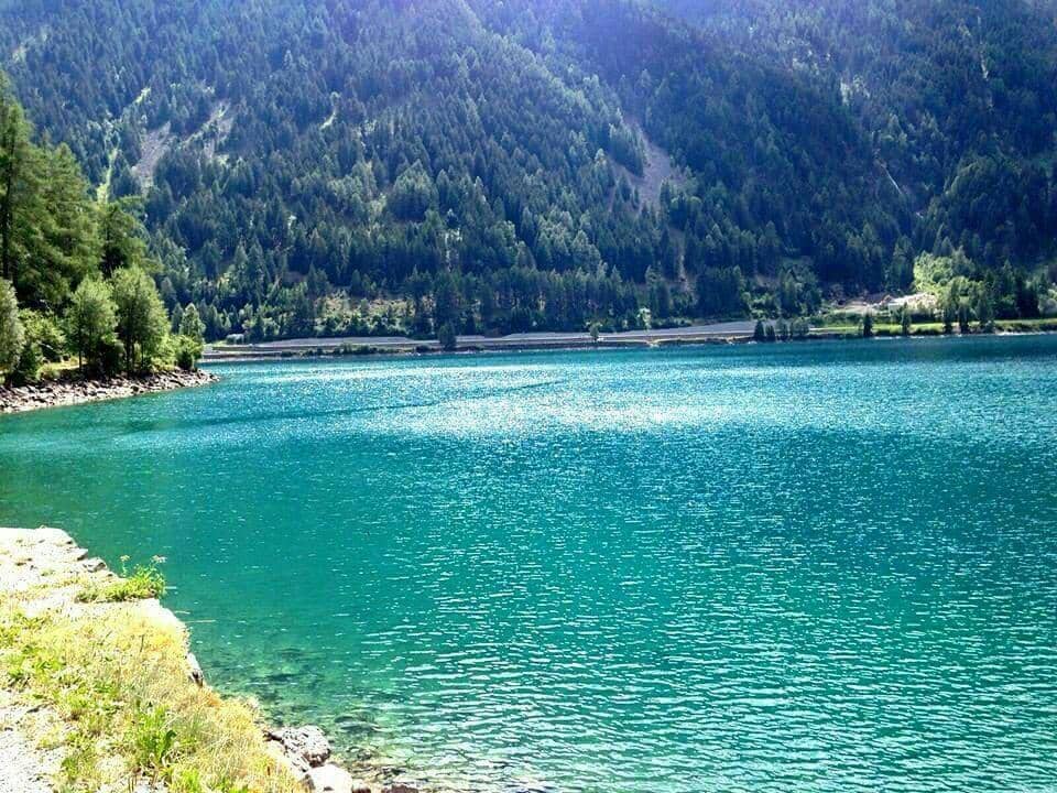 Autumn Foliage Spectacle