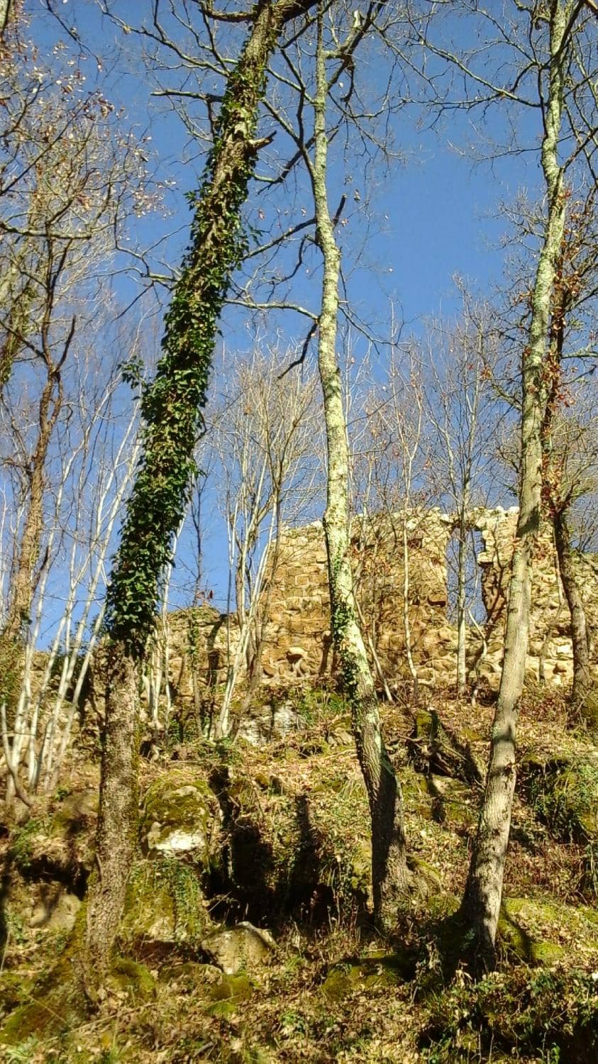 Small Church