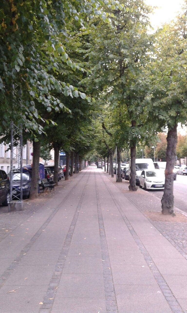 Frederiksberg Gardens