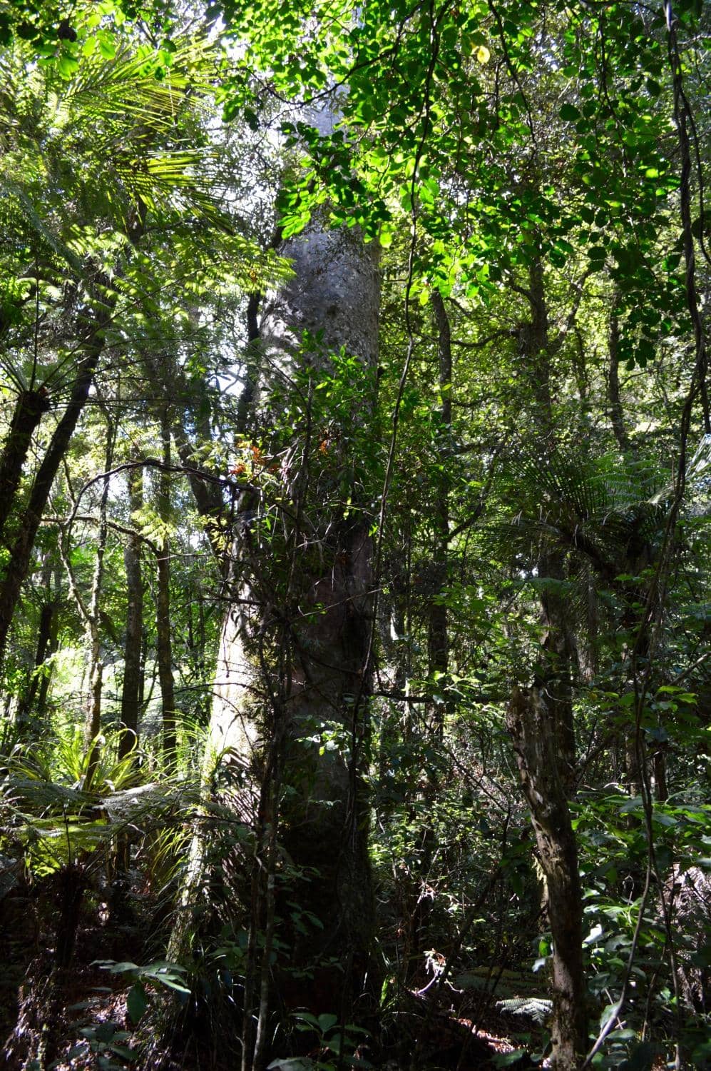 Vertical photo