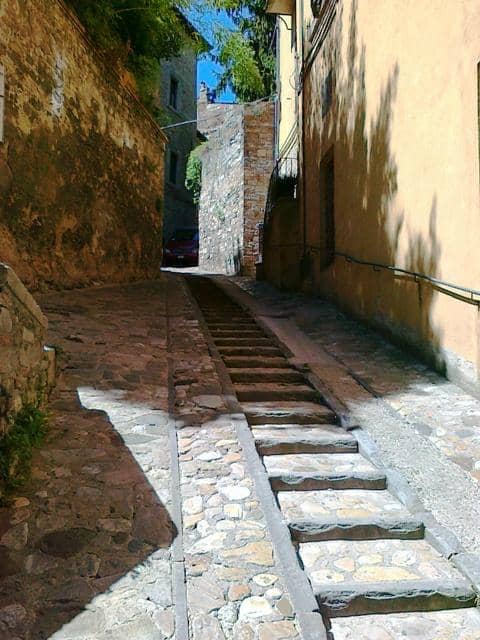 Vertical photo