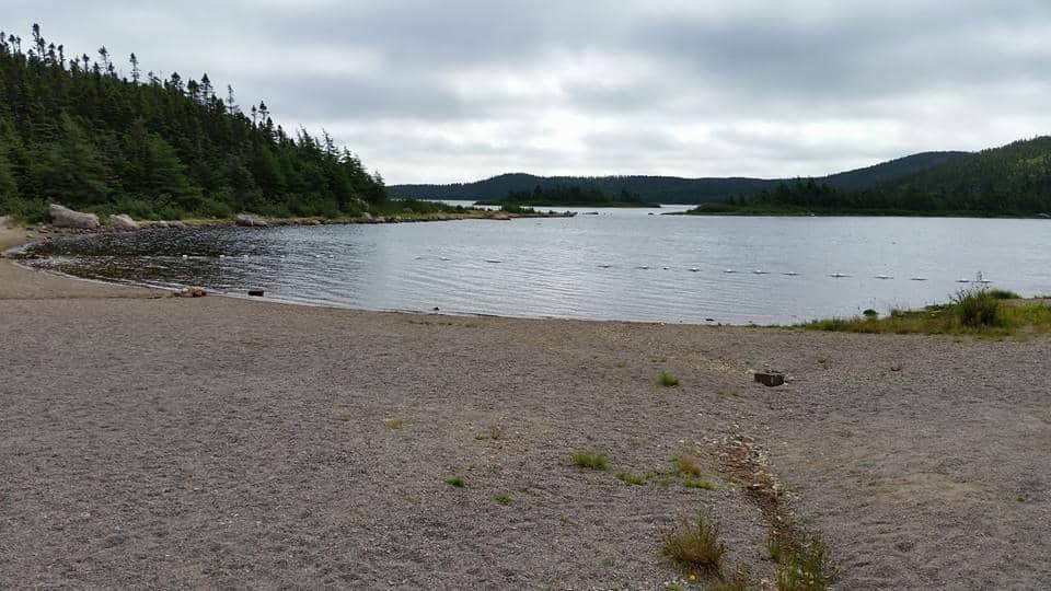 Family Camping Adventures