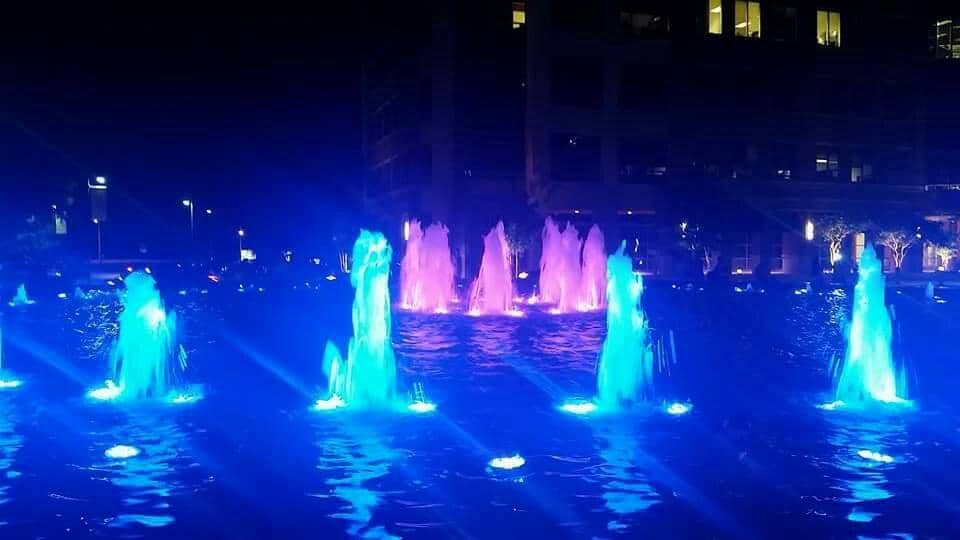 La La Land Kind Cafe