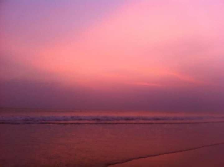 Surfing Opportunities