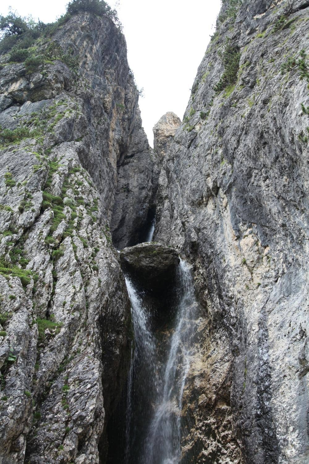 Vertical photo