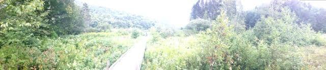 Accessible Boardwalk Trail