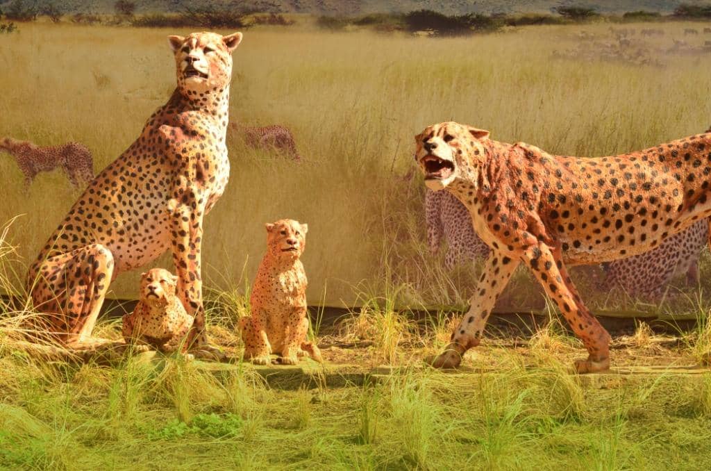 Village Life Sculptures