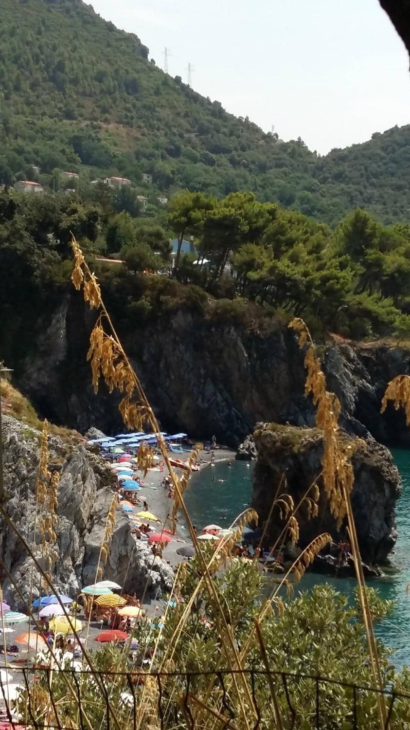 Vertical photo
