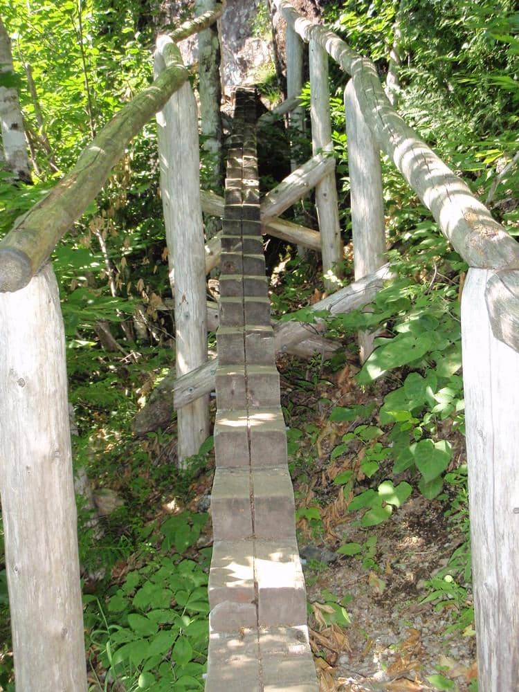 Vertical photo