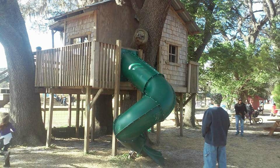 Challenging Corn Maze