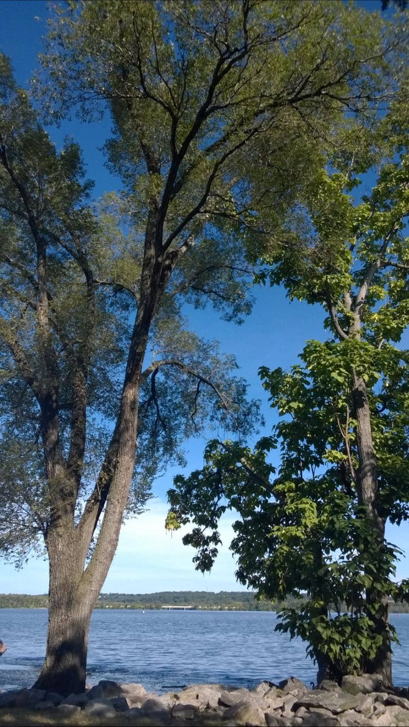 Vertical photo