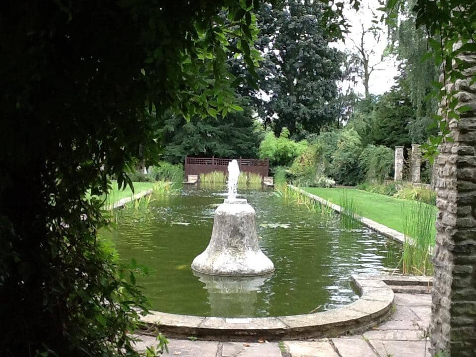Tranquil Fish Pond