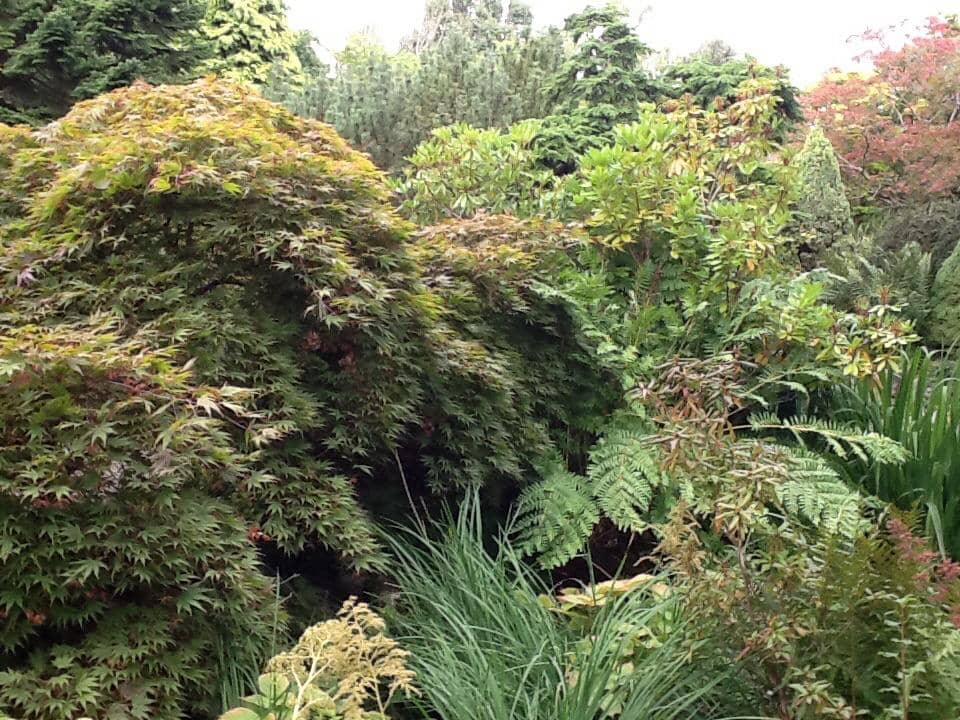 Exotic Plant Collection
